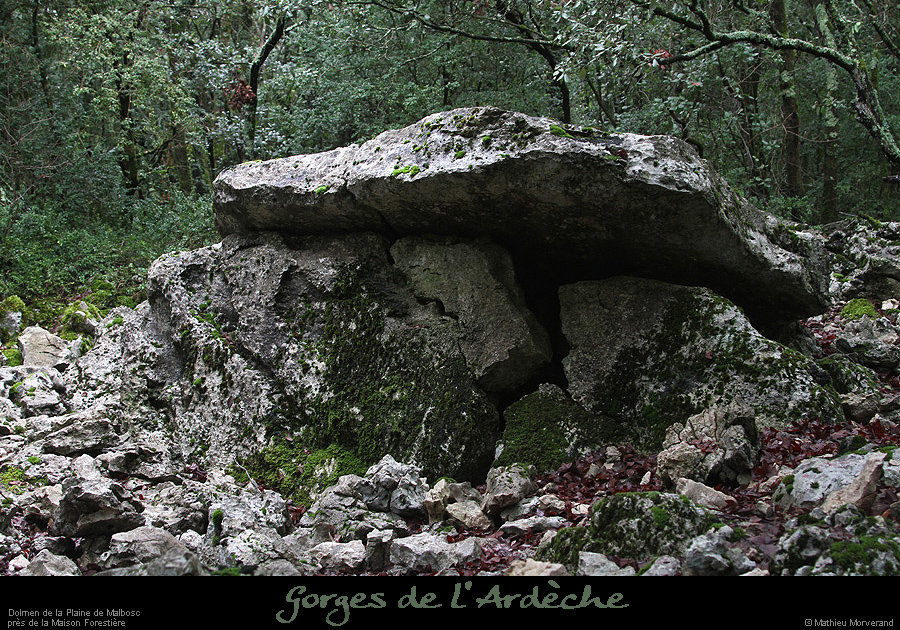 20160110_dolmenmalbosc04