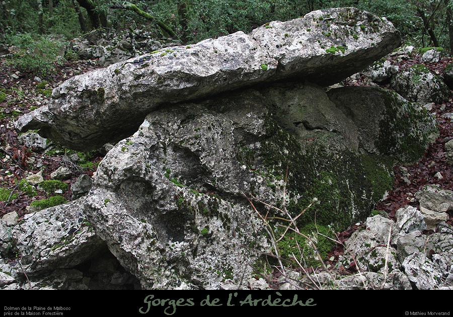 20160110_dolmenmalbosc05