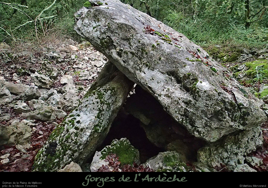 20160110_dolmenmalbosc07