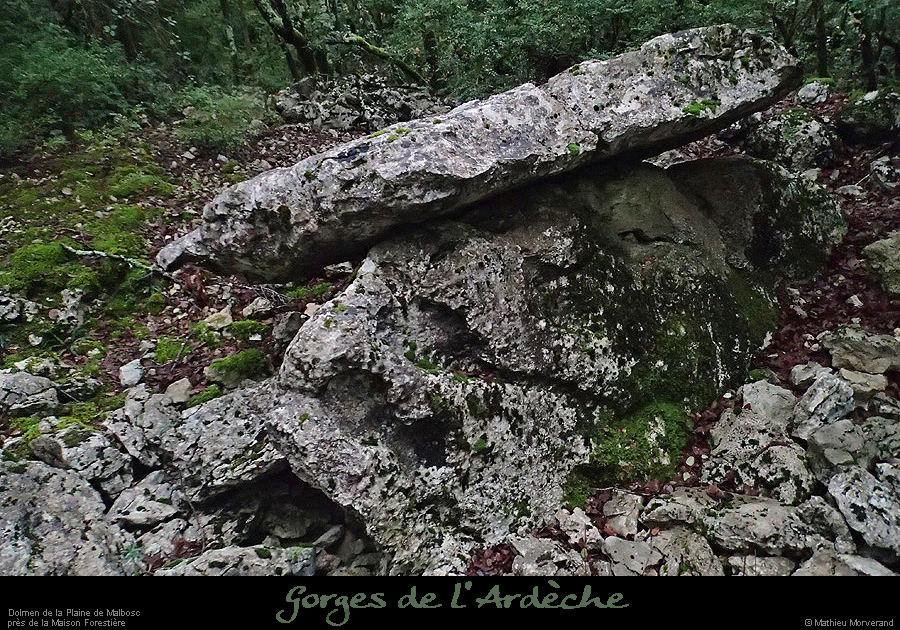 20160110_dolmenmalbosc08
