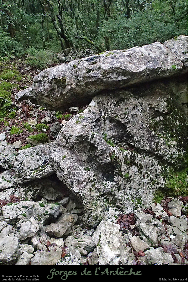 20160110_dolmenmalbosc13