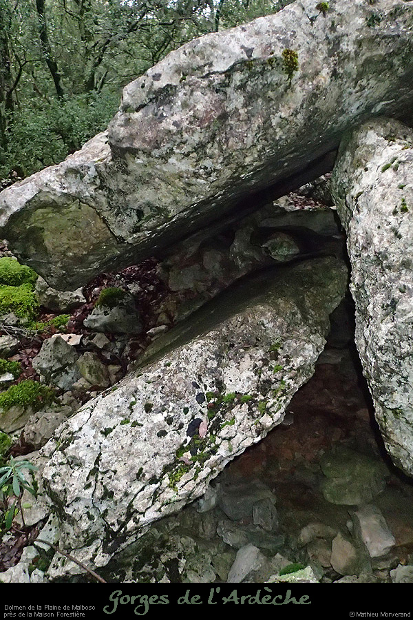 20160110_dolmenmalbosc15