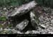 20160110_dolmenmalbosc02