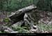 20160110_dolmenmalbosc03