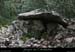 20160110_dolmenmalbosc04