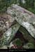 20160110_dolmenmalbosc14