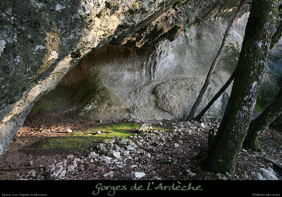 20061203_gorgesardeche_ssbois_2