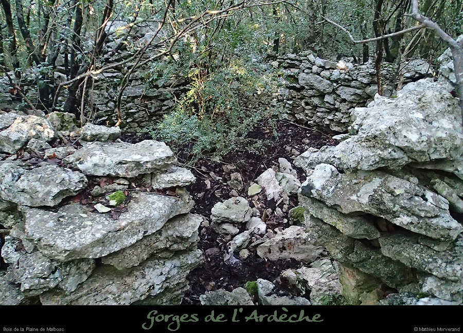 20151230_anciennecharbonnierepreschanet2