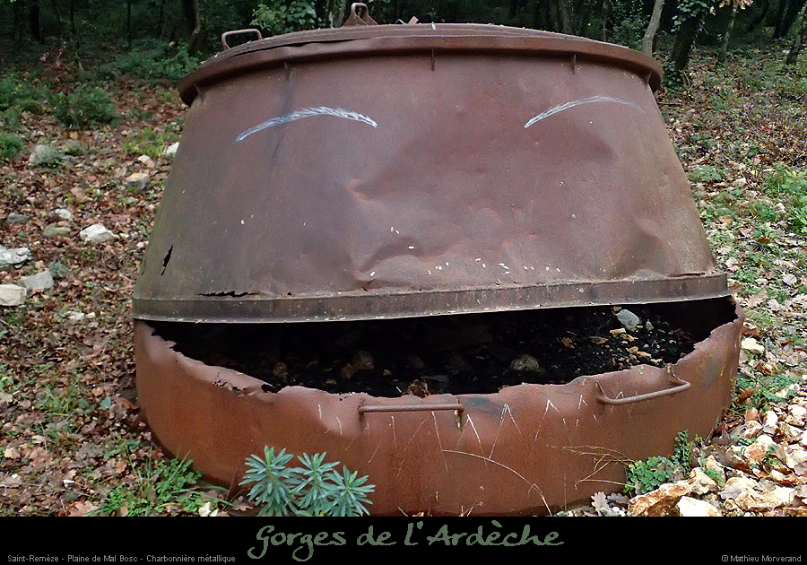 20160110_plainemalbosc_charbonniere