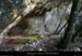 20061203_gorgesardeche_ssbois_2