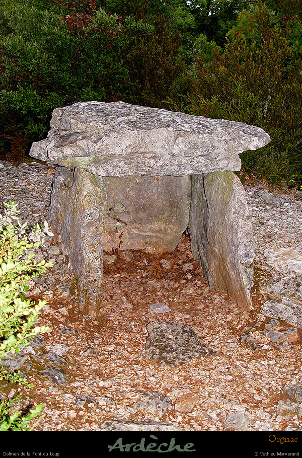 20020825_issirac_dolmendelaplaine_3