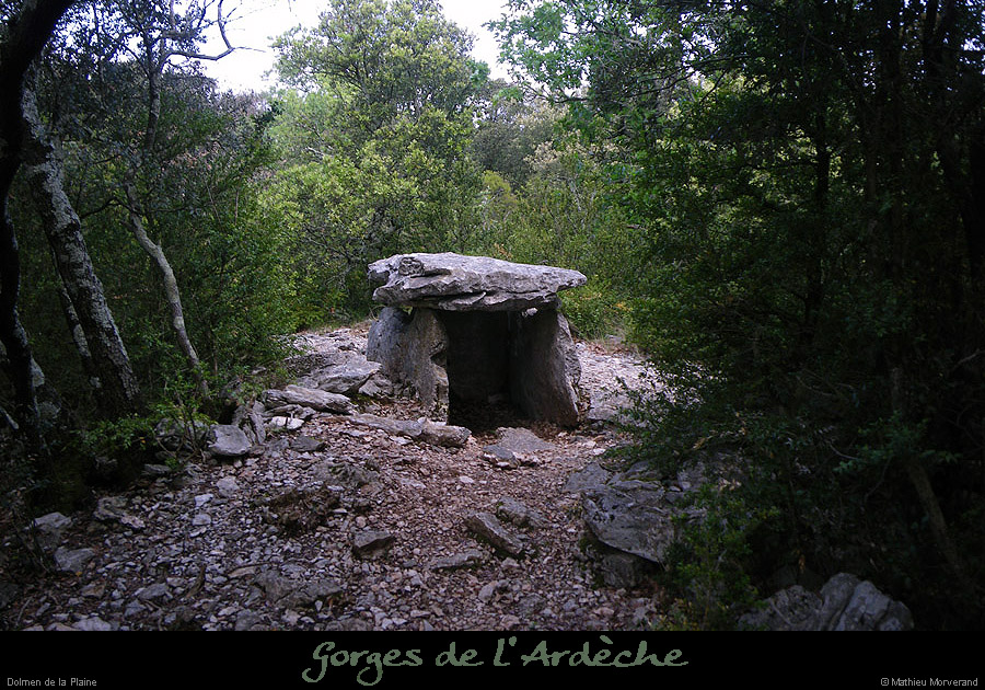 20100516_dolmendelaplaine2