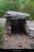 20020825_issirac_dolmendelaplaine_1
