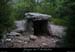 20100516_dolmendelaplaine1