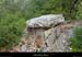 20131226_orgnac_dolmenfontduloup2