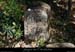 20080518_boisdelavalgrangemeisselle3