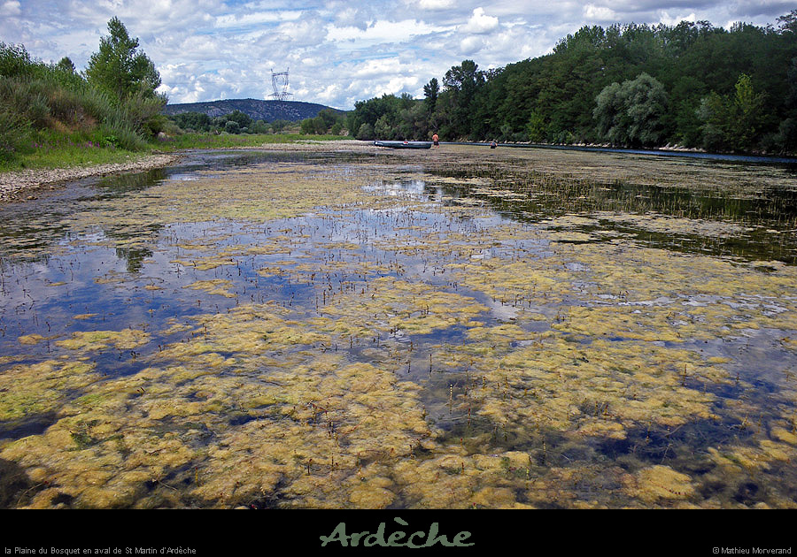 20100812_avstmartin_plainebosquet1