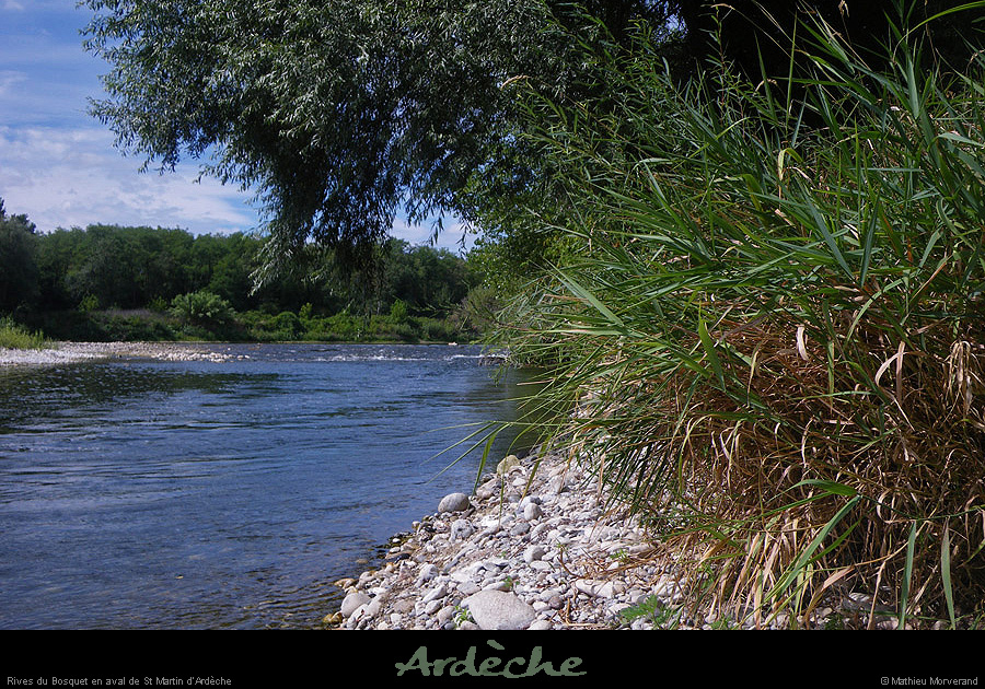 20100812_avstmartin_rivedubosquet2