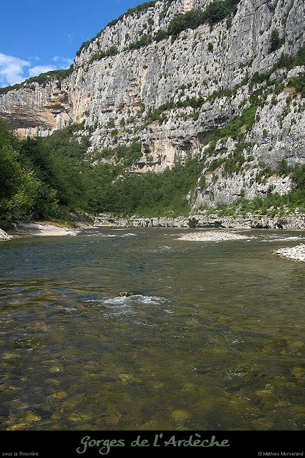 20070816_46