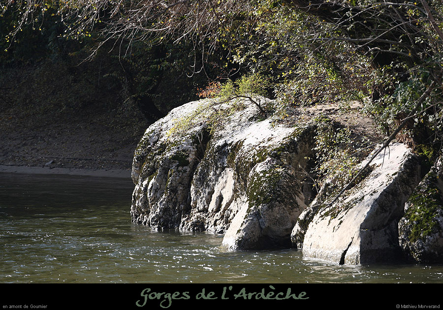 20091107_amgournierrd1