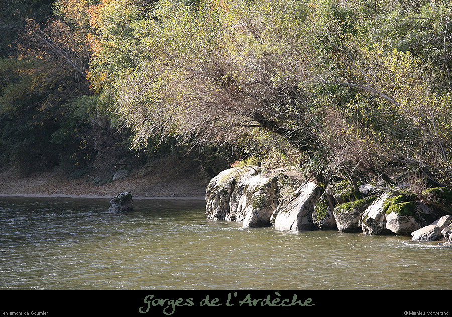 20091107_amgournierrd2
