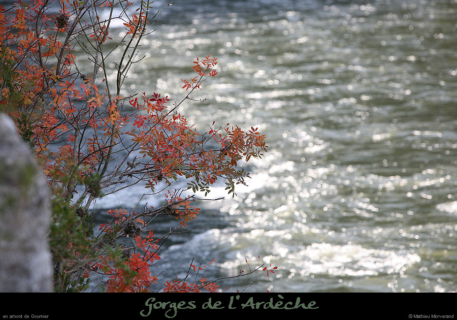 20091107_amgournierrg1