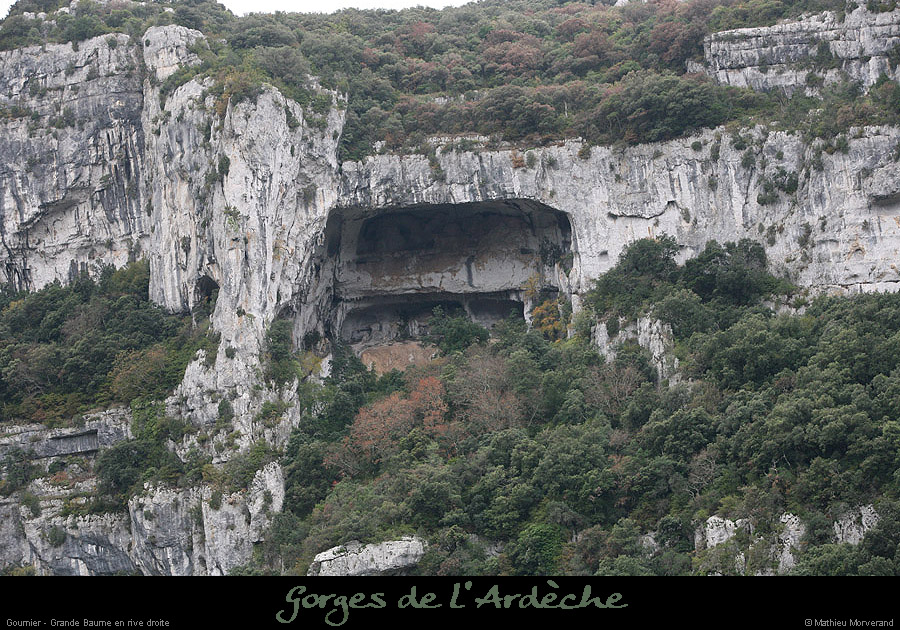 20091107_grdebaumedepuisguedeguitard