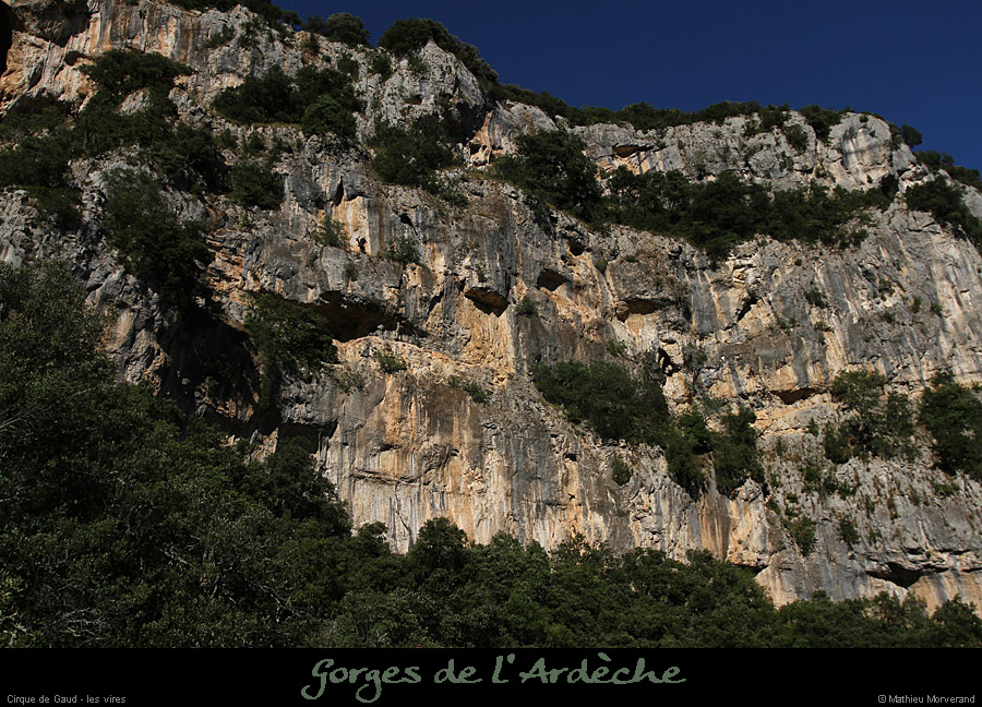 20130801_virecaprinedeptevireinf