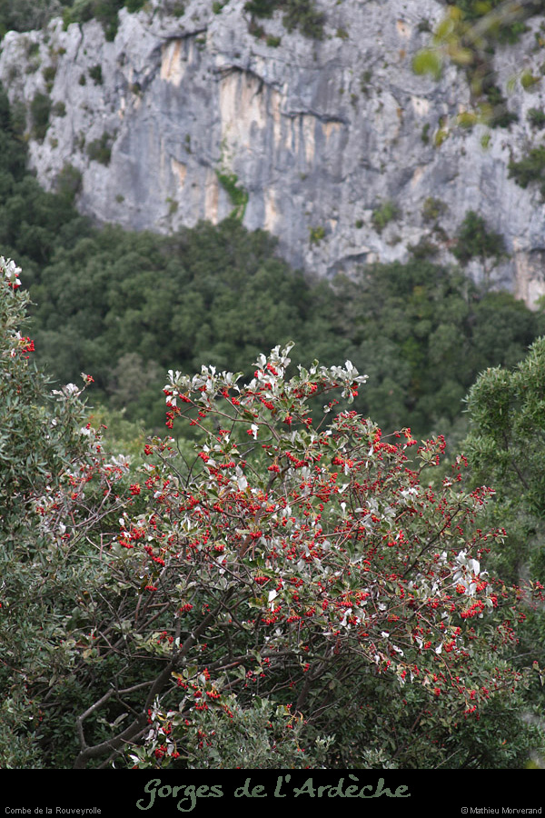 20131019_comberouveyrolleparest1