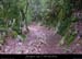 20010819_larouveyrolle_cheminlequeron_6