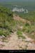 20010823_boisdugarn_cheminpresgorges_2