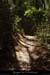 20020728_gorges_masdeserret_sentier