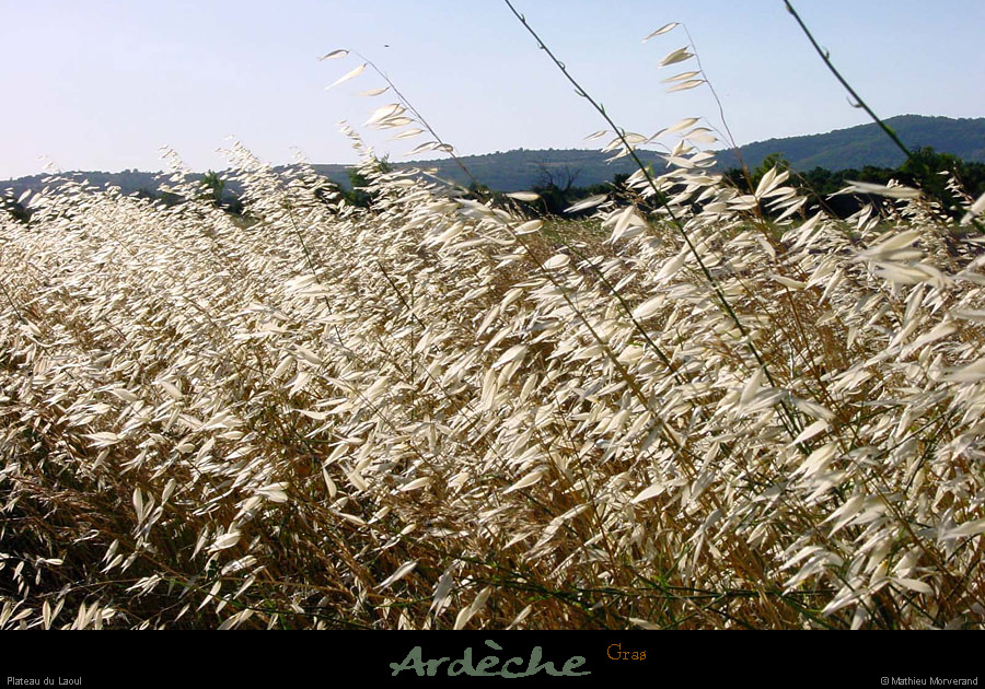 20010701_plateaudulaoul_htesherbes