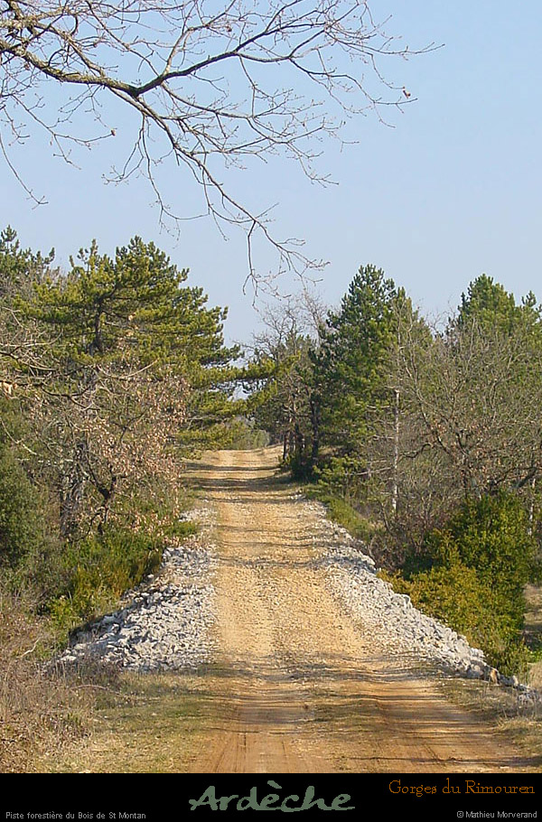 20030215_boisderimouren_pisteforestiere_2