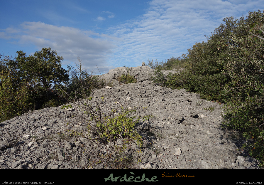 20191110_018