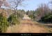 20030215_boisderimouren_pisteforestiere_1