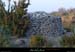 20030215_boisderimouren_stmontant_ruine_1