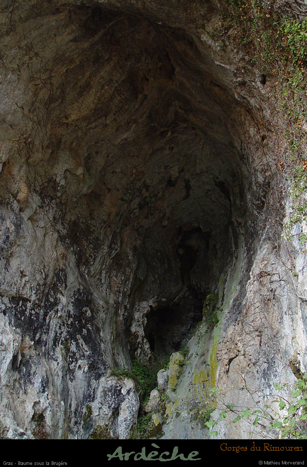 20030222_gorgesdurimouren_baume