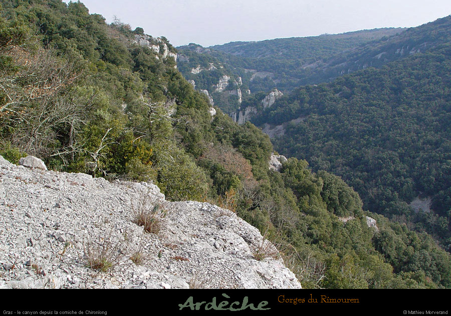 20030223_gorgesdurimourendechironlond_2