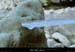 20030222_gorgesdurimouren_canyon_glace_11