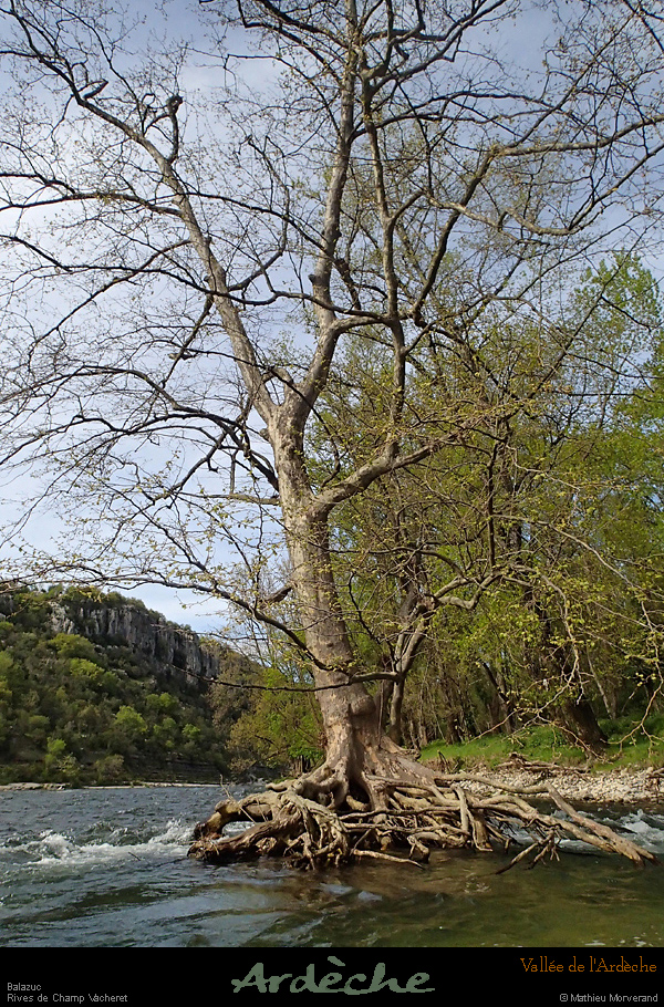 20160414_096