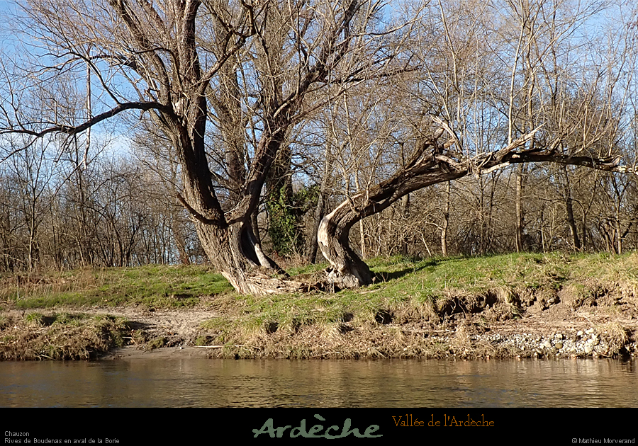 20211215_077