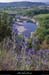20110501_ardeche_amcirquedegens