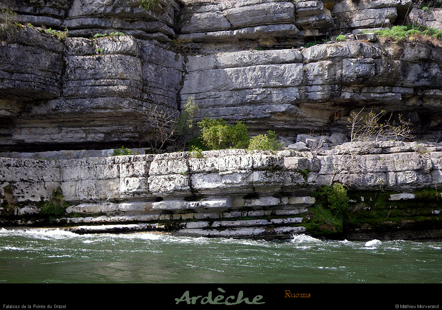 20100410_rapidegrazel2