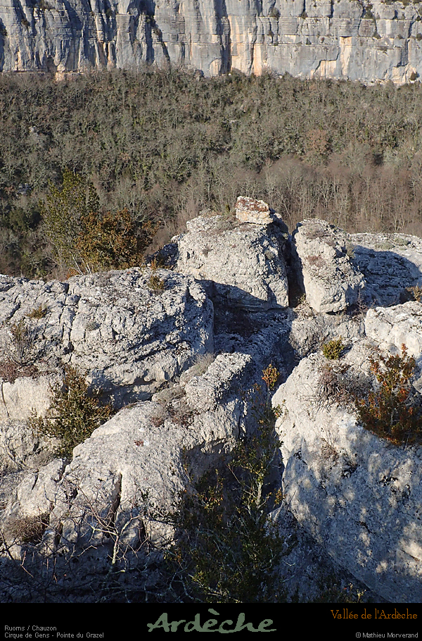 20180227_ptegrazel03