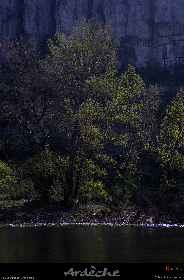 20100410_ssfalaisespetitbois_meandre1