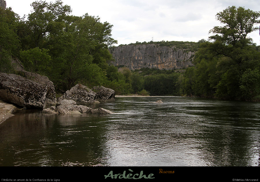 20130601_avcirquegens_ssgrdbois2