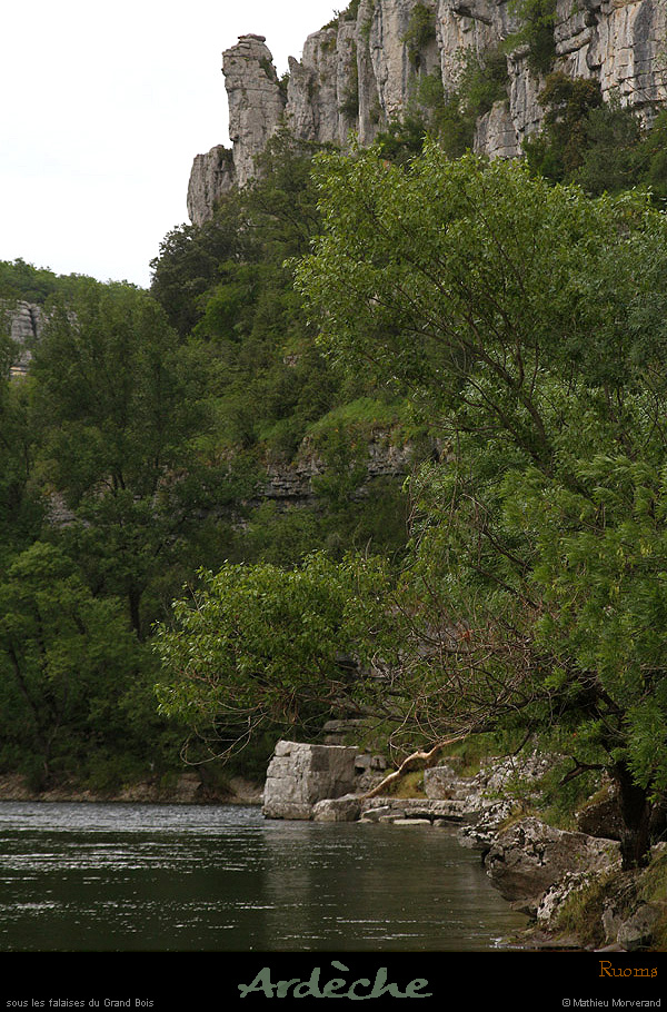 20130601_avcirquegens_ssgrdbois3