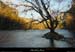 20040103_cirquedegens_arbre_2