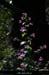 20190424_09